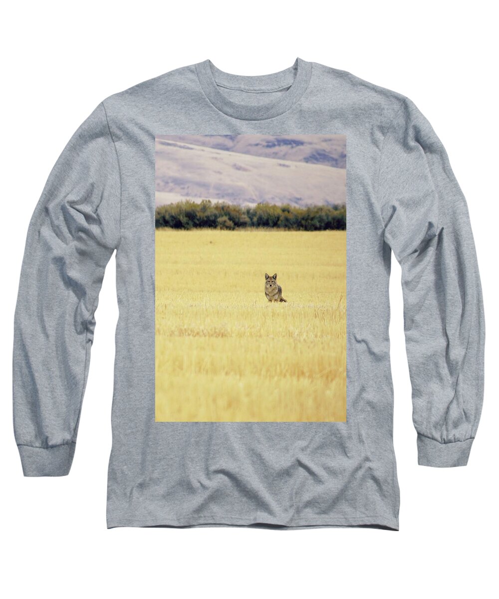 Landscape Long Sleeve T-Shirt featuring the photograph Canidae by Robin Dickinson