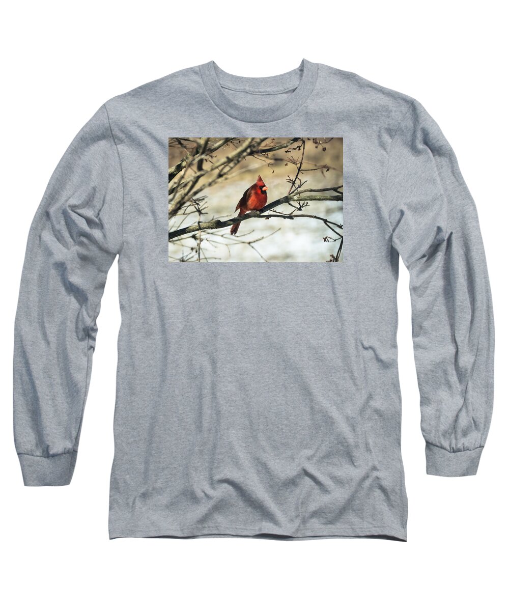Jan Holden Long Sleeve T-Shirt featuring the photograph Cardinal  by Holden The Moment