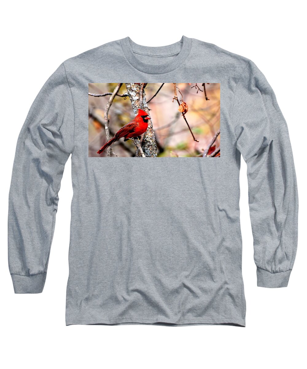 Cardinal Long Sleeve T-Shirt featuring the digital art Cardinal by Maye Loeser