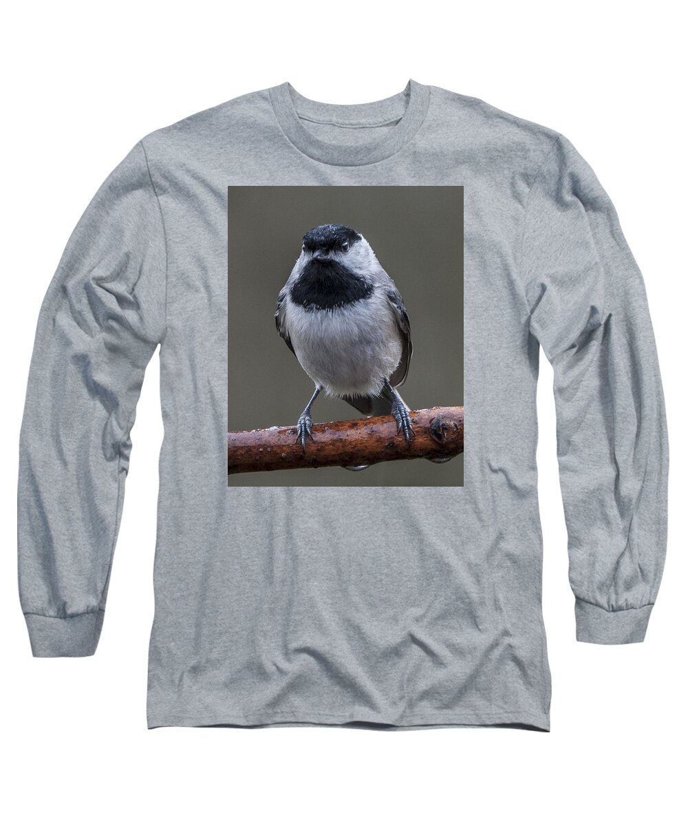 Wildlife Long Sleeve T-Shirt featuring the photograph Carolina Chickadee Portrait by William Bitman