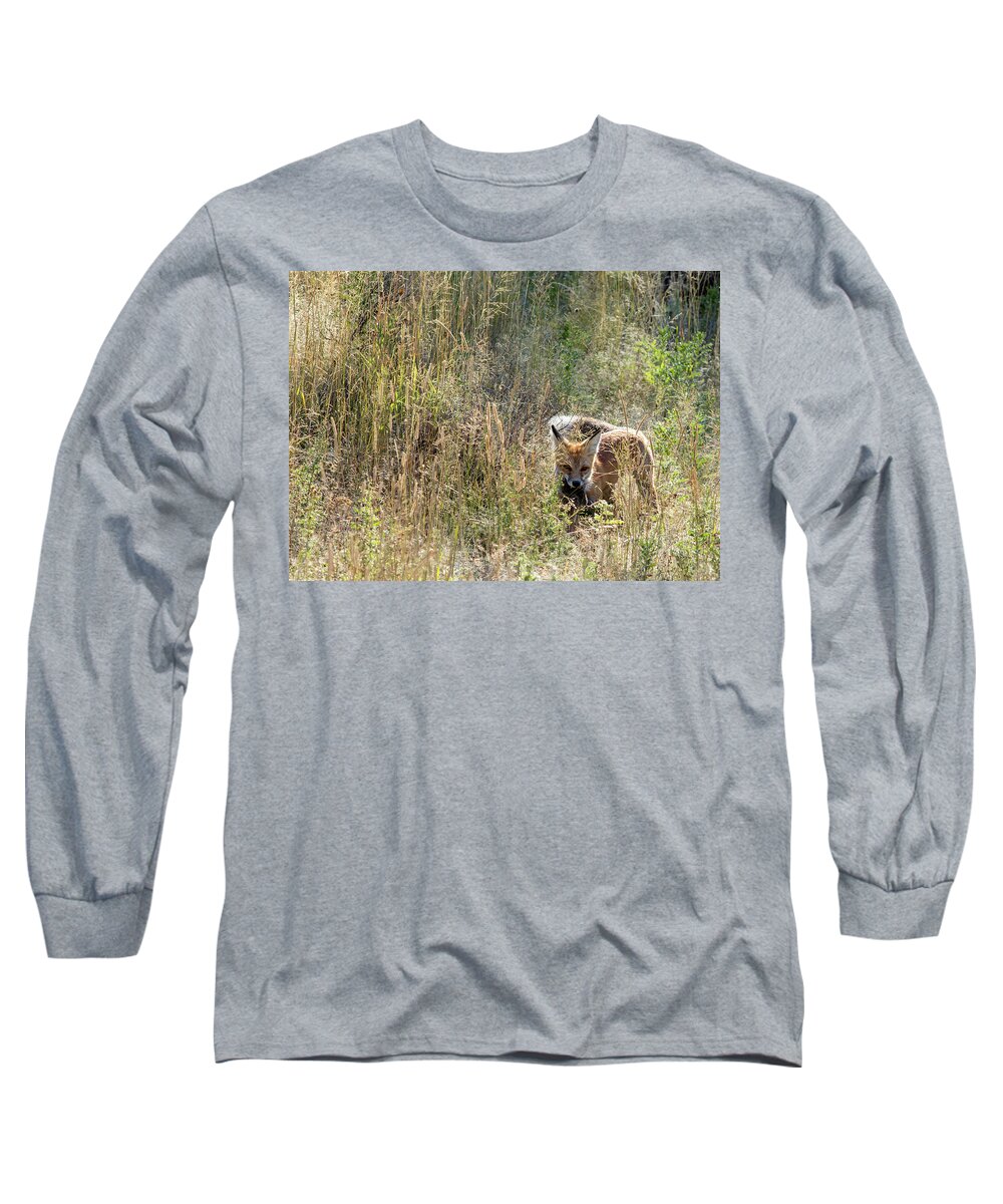 Fox Long Sleeve T-Shirt featuring the photograph Catch of the Day by Mark Harrington