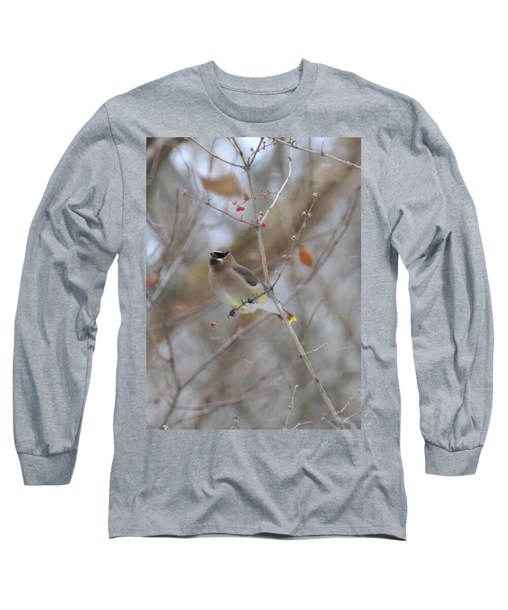 Bird Long Sleeve T-Shirt featuring the photograph Cedar Wax Wing 2 by David Arment
