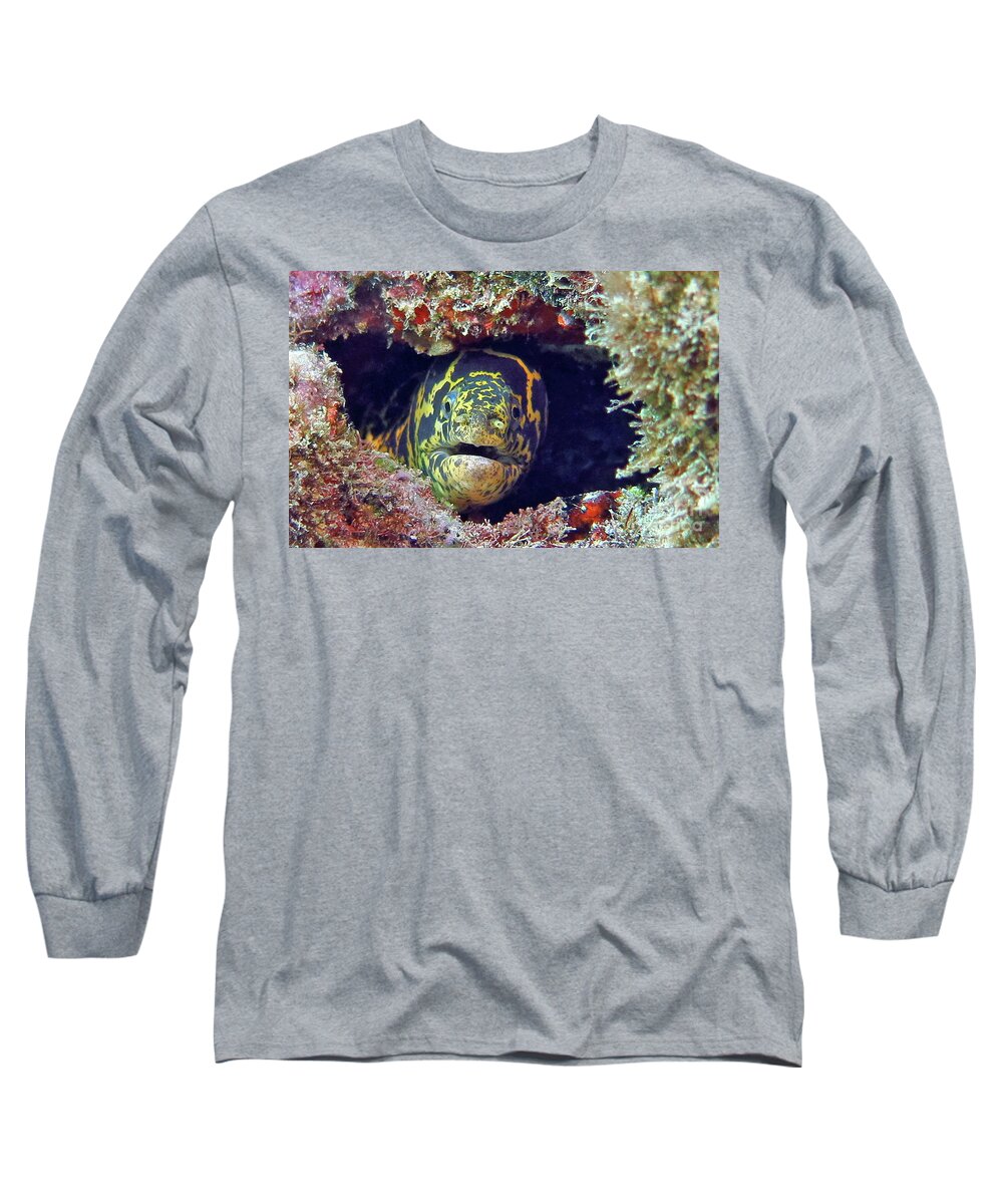 Underwater Long Sleeve T-Shirt featuring the photograph Chain Moray Eel by Daryl Duda