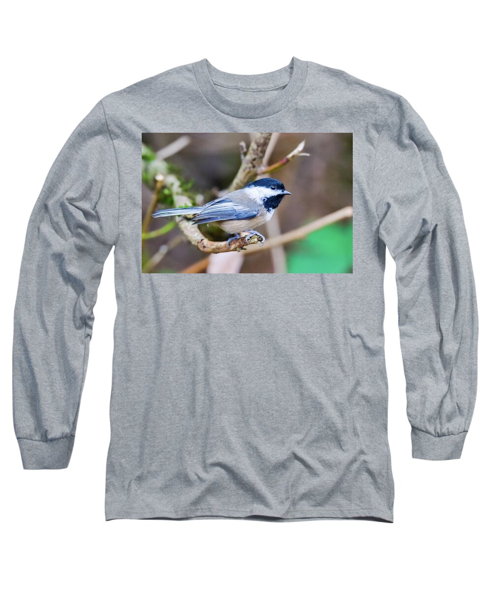 Birds Long Sleeve T-Shirt featuring the photograph Chickadee by David Lee