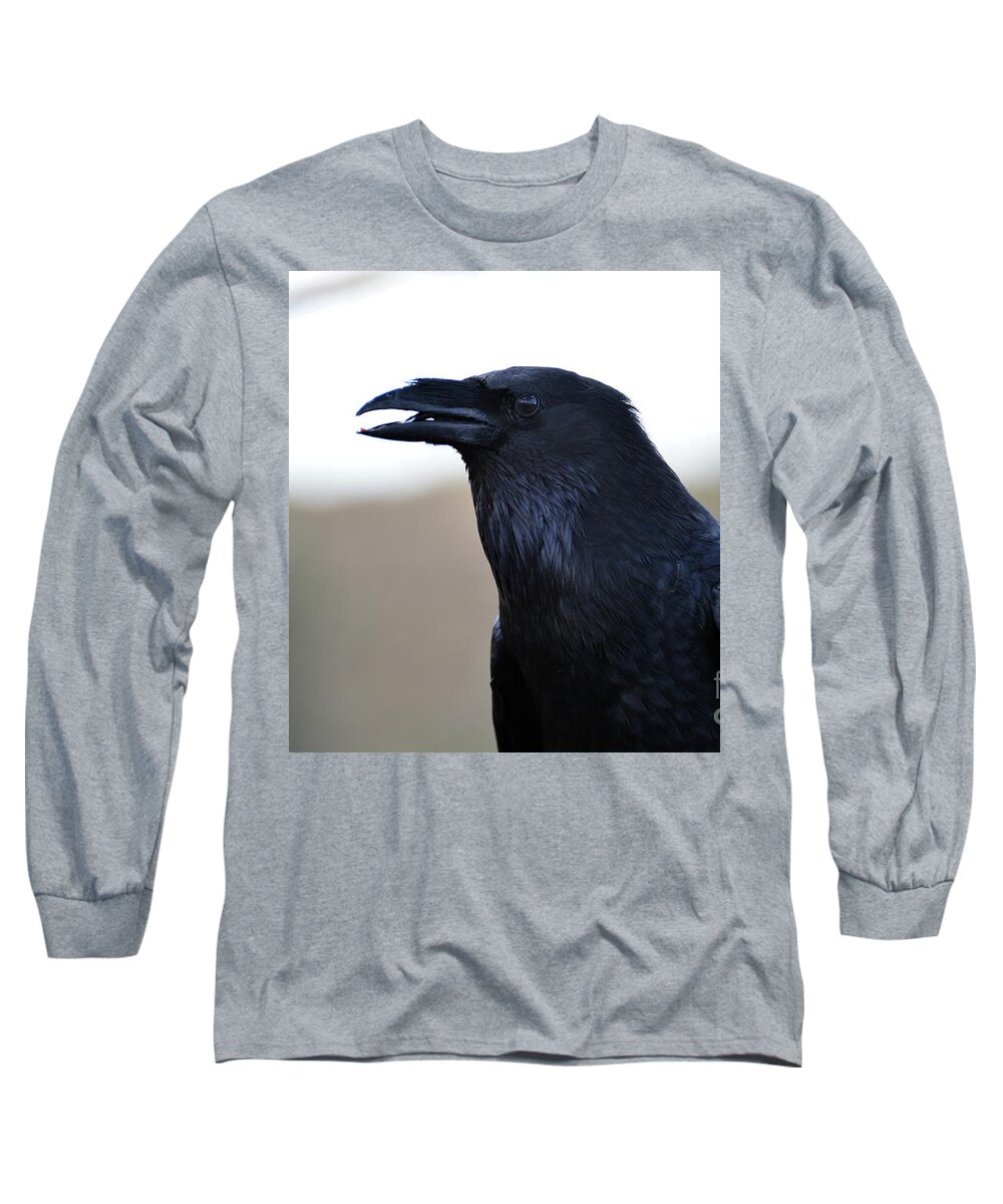 Denise Bruchman Long Sleeve T-Shirt featuring the photograph Chihuahua Raven Profile by Denise Bruchman