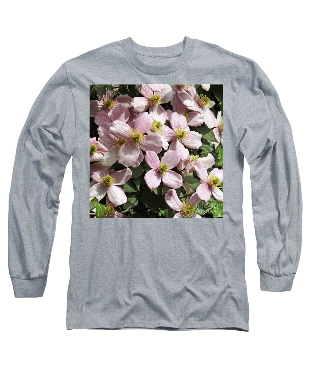 Clematis Long Sleeve T-Shirt featuring the photograph Clematis Blooms by Kim Tran