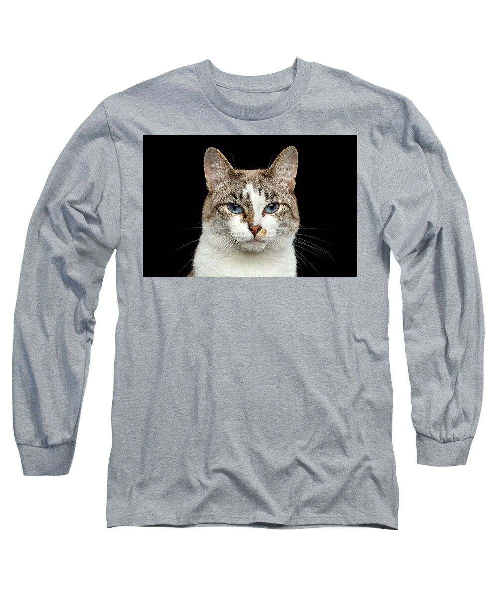 Cat Long Sleeve T-Shirt featuring the photograph Closeup Portrait of face White Cat, Blue Eyes Isolated Black Background by Sergey Taran