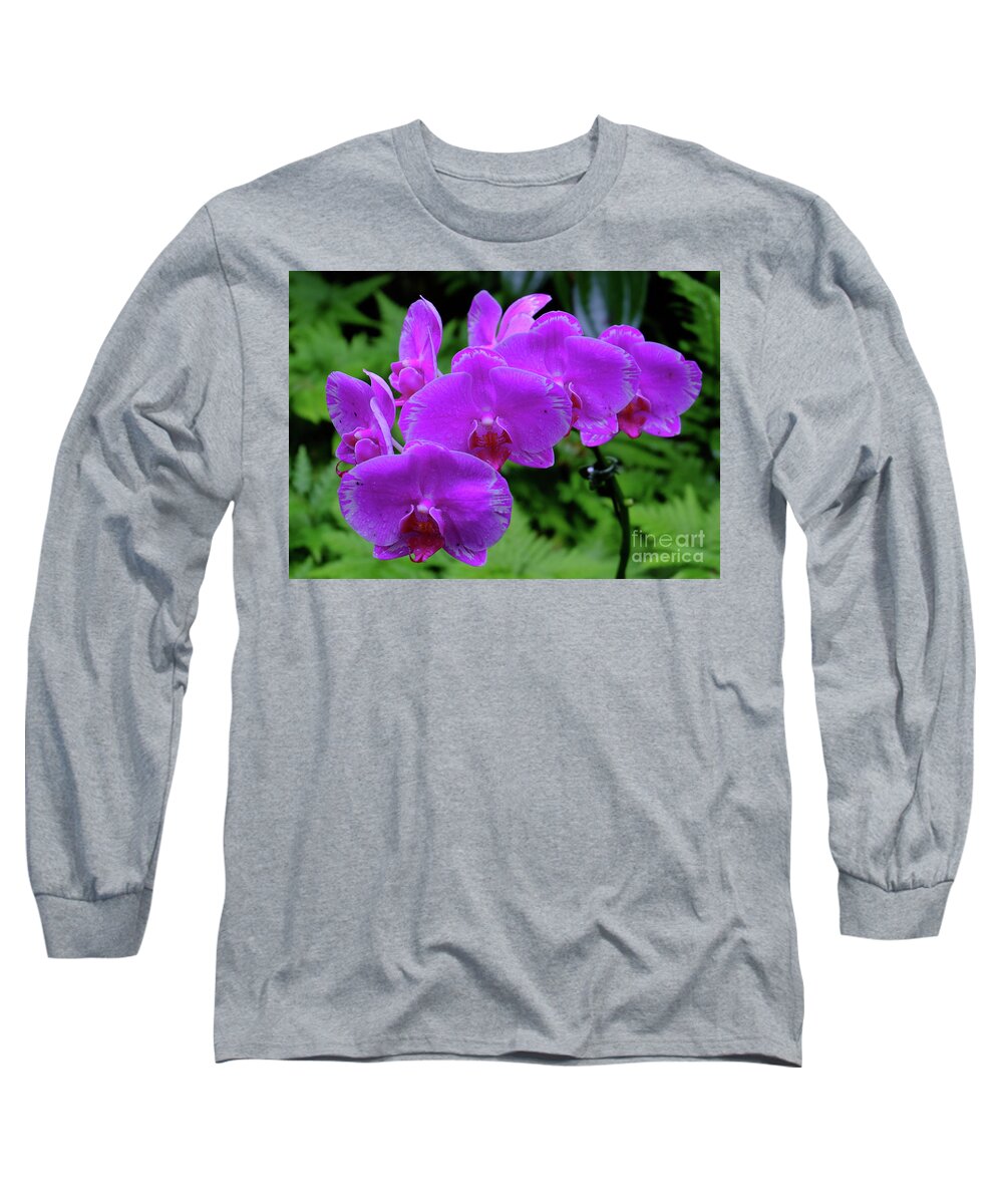 Flowers Long Sleeve T-Shirt featuring the photograph Cluster of Orchids by Mini Arora