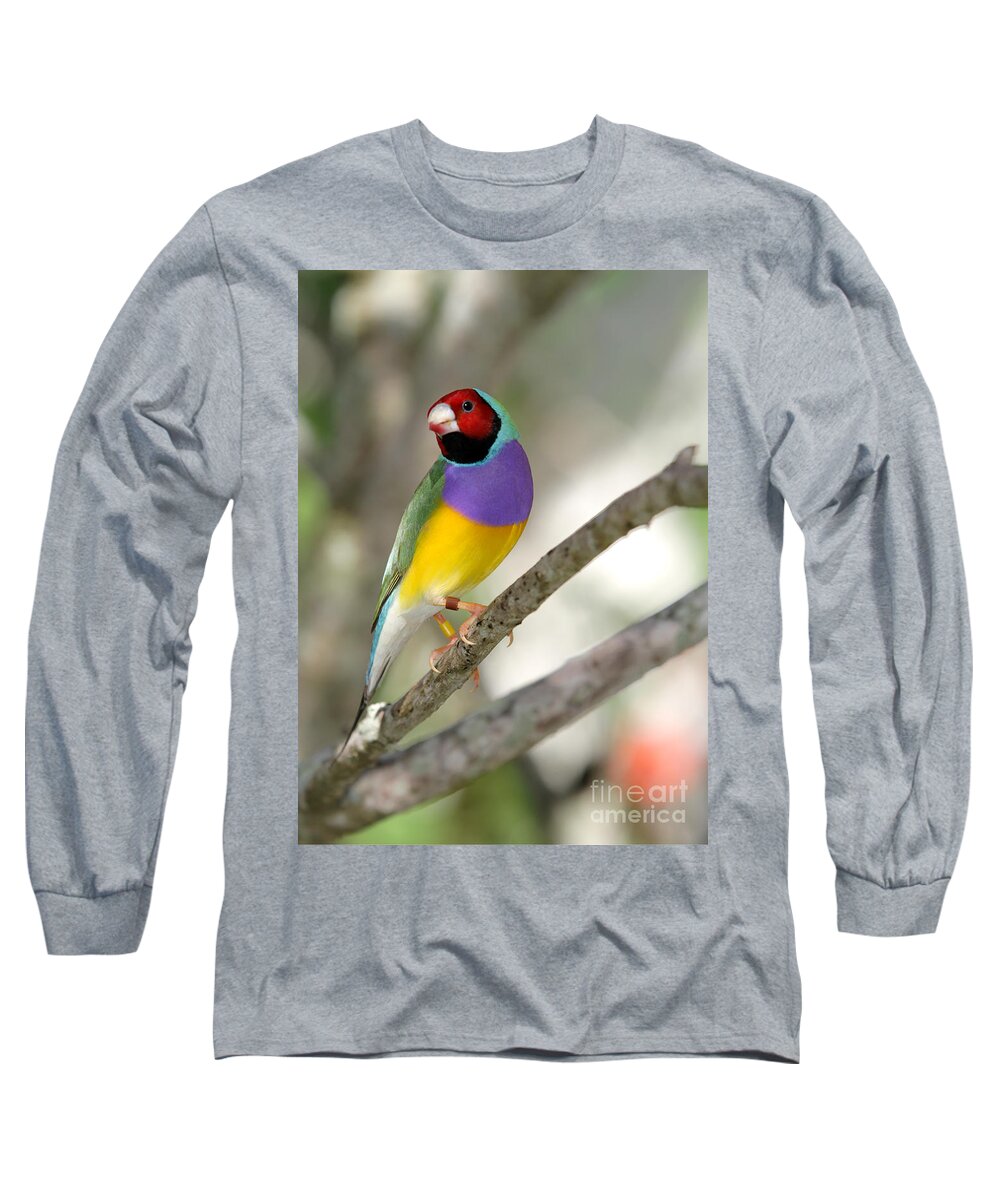 Landscape Long Sleeve T-Shirt featuring the photograph Colorful Gouldian Finch by Sabrina L Ryan