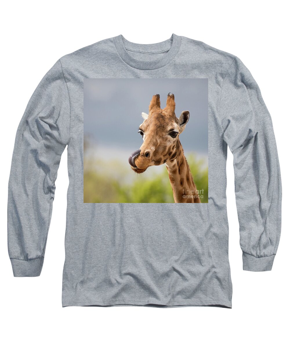 Giraffe Long Sleeve T-Shirt featuring the photograph Comical giraffe with his tongue out. by Jane Rix