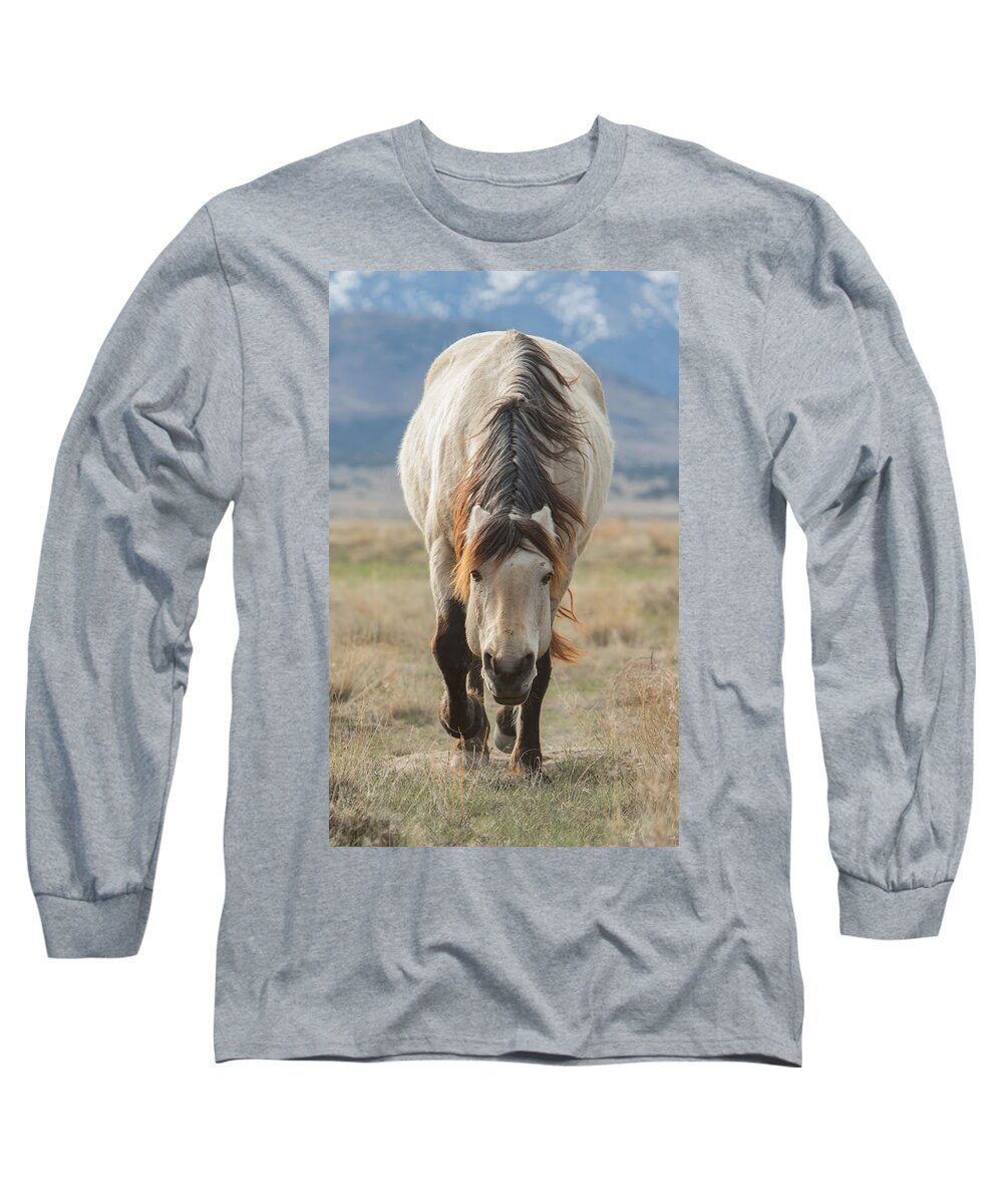 Horse Long Sleeve T-Shirt featuring the photograph Coming My Way by Kent Keller