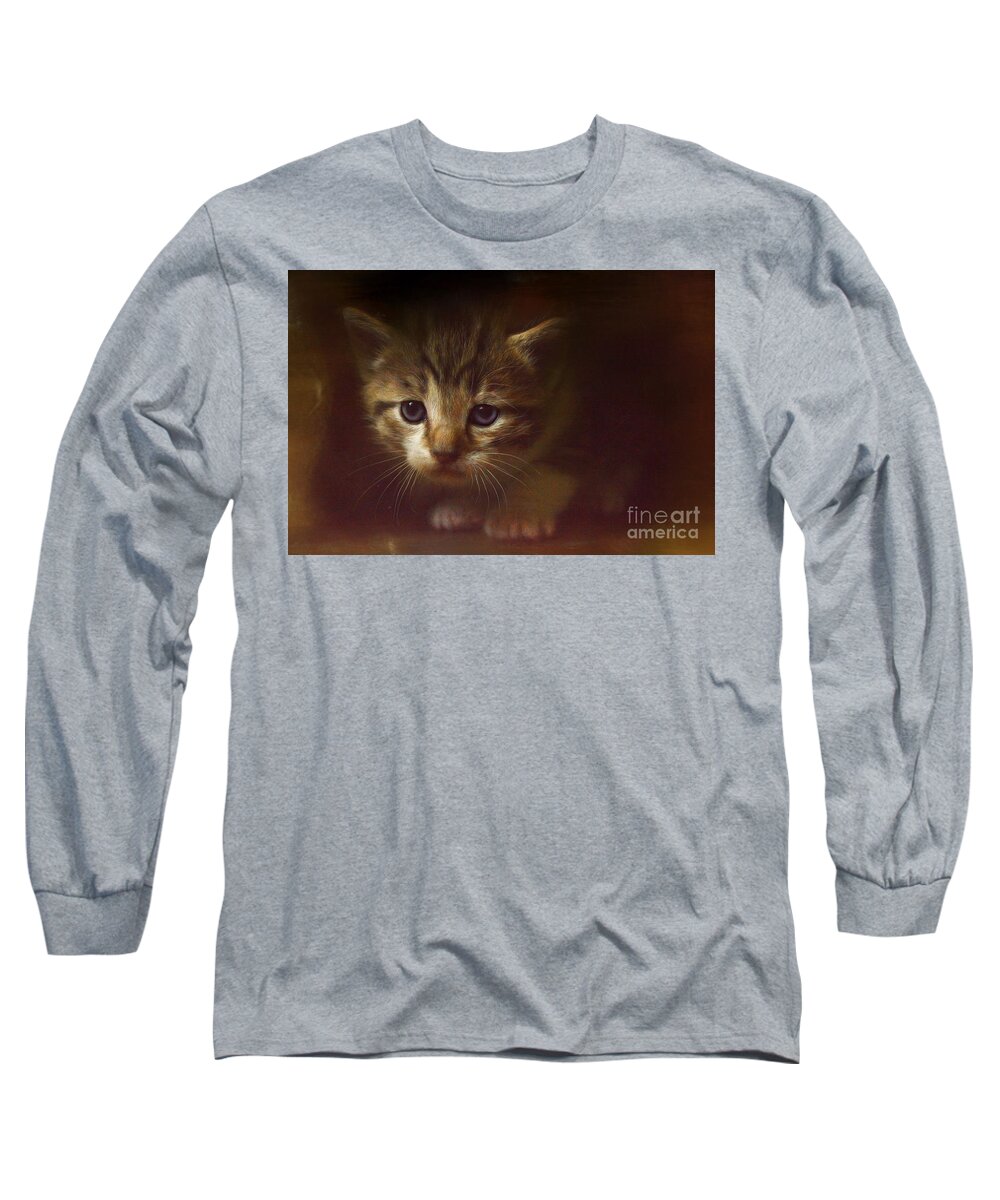 Kitten Long Sleeve T-Shirt featuring the photograph Concentration by Kathy Russell