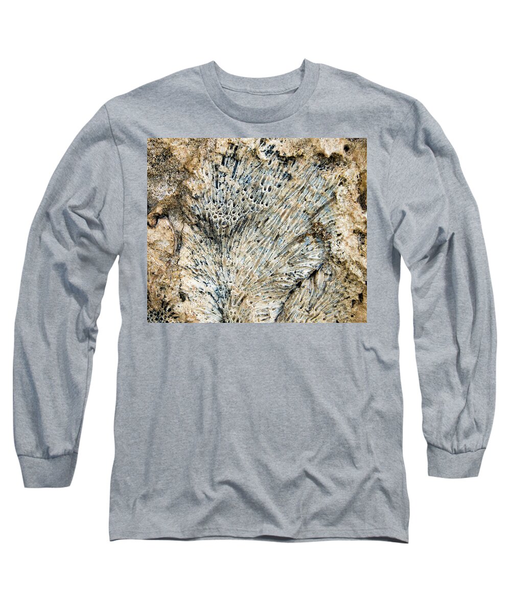 Bonaire Long Sleeve T-Shirt featuring the photograph Coral Fossil by Jean Noren