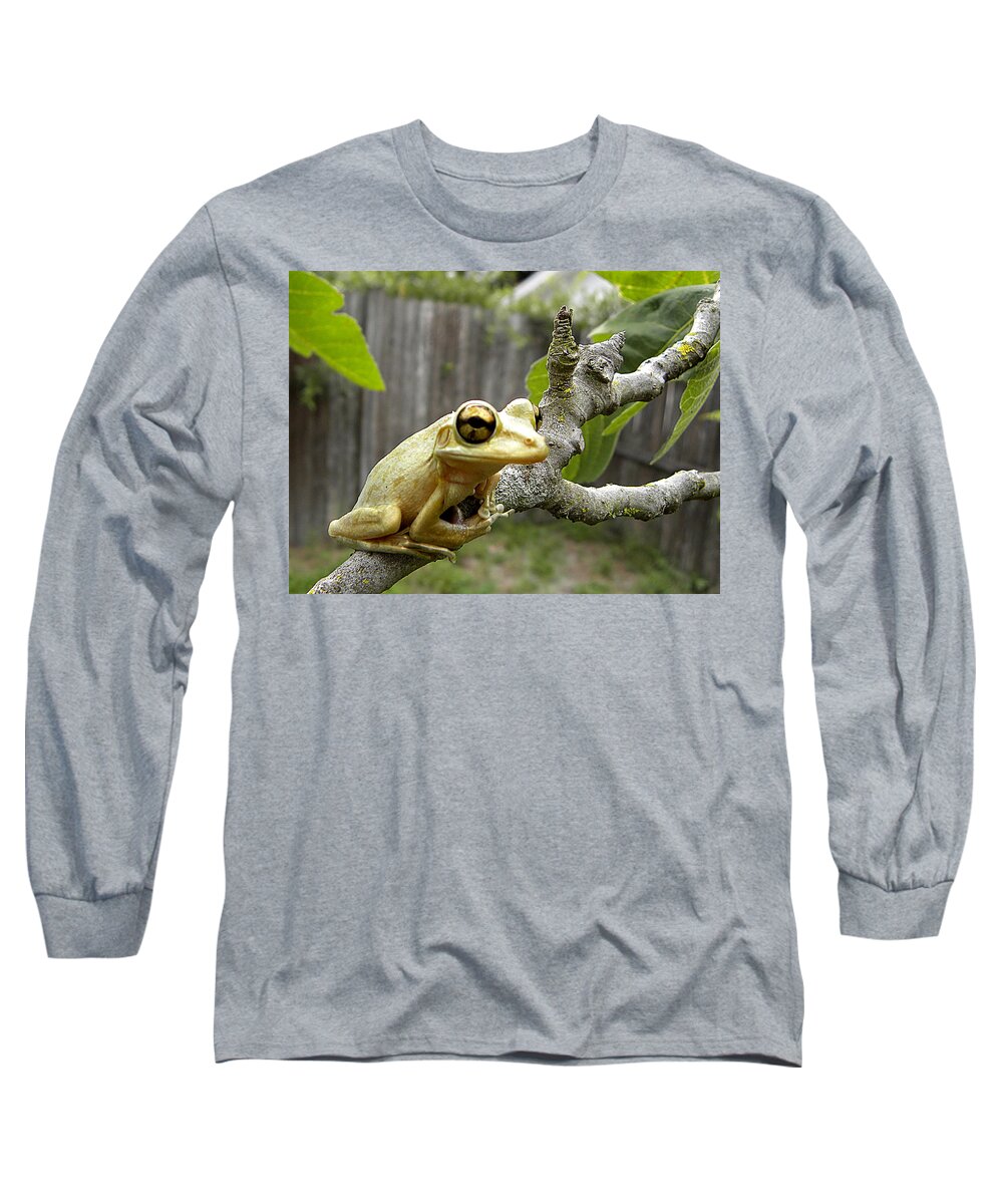 Cuban Tree Frog Long Sleeve T-Shirt featuring the photograph Cuban Tree Frog 001 by Christopher Mercer