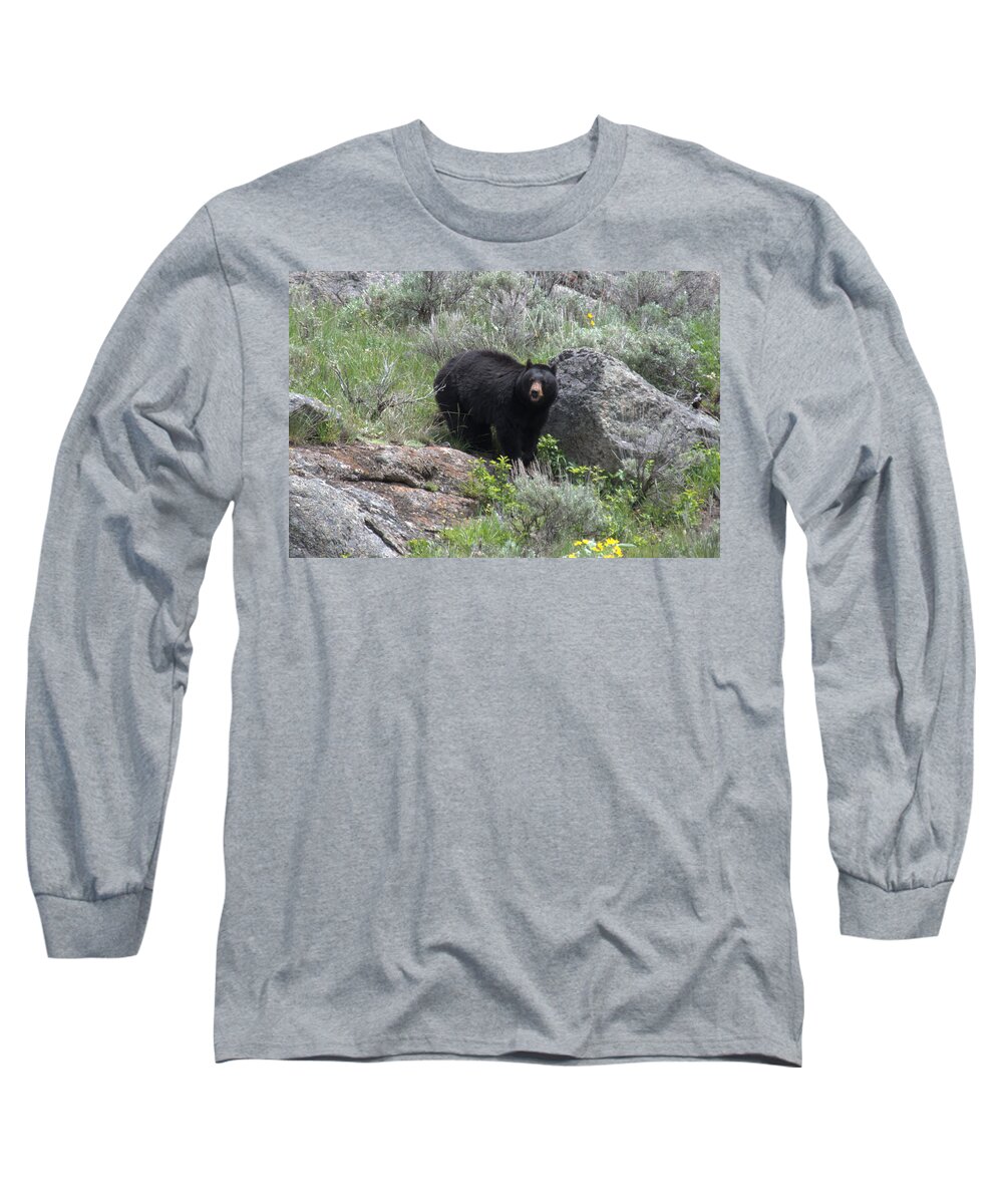 Black Bear Long Sleeve T-Shirt featuring the photograph Curious Black Bear by Frank Madia