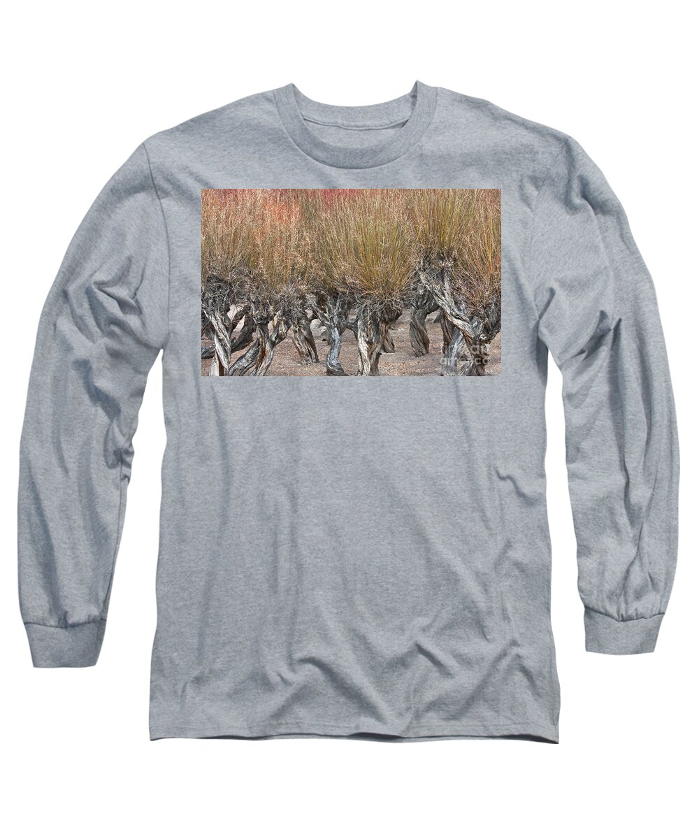Dancing Trees Long Sleeve T-Shirt featuring the photograph Dancing trees by Hitendra SINKAR