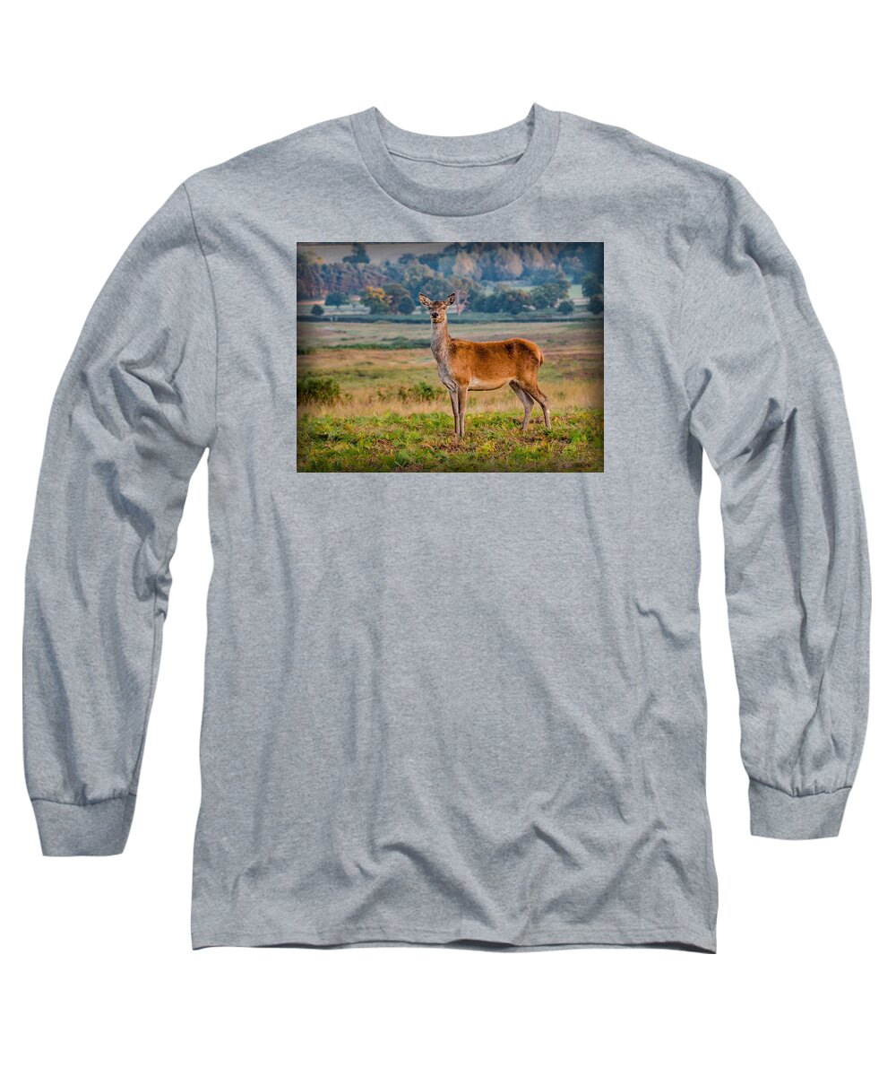 Deer Long Sleeve T-Shirt featuring the photograph Dear Deer by Nick Bywater