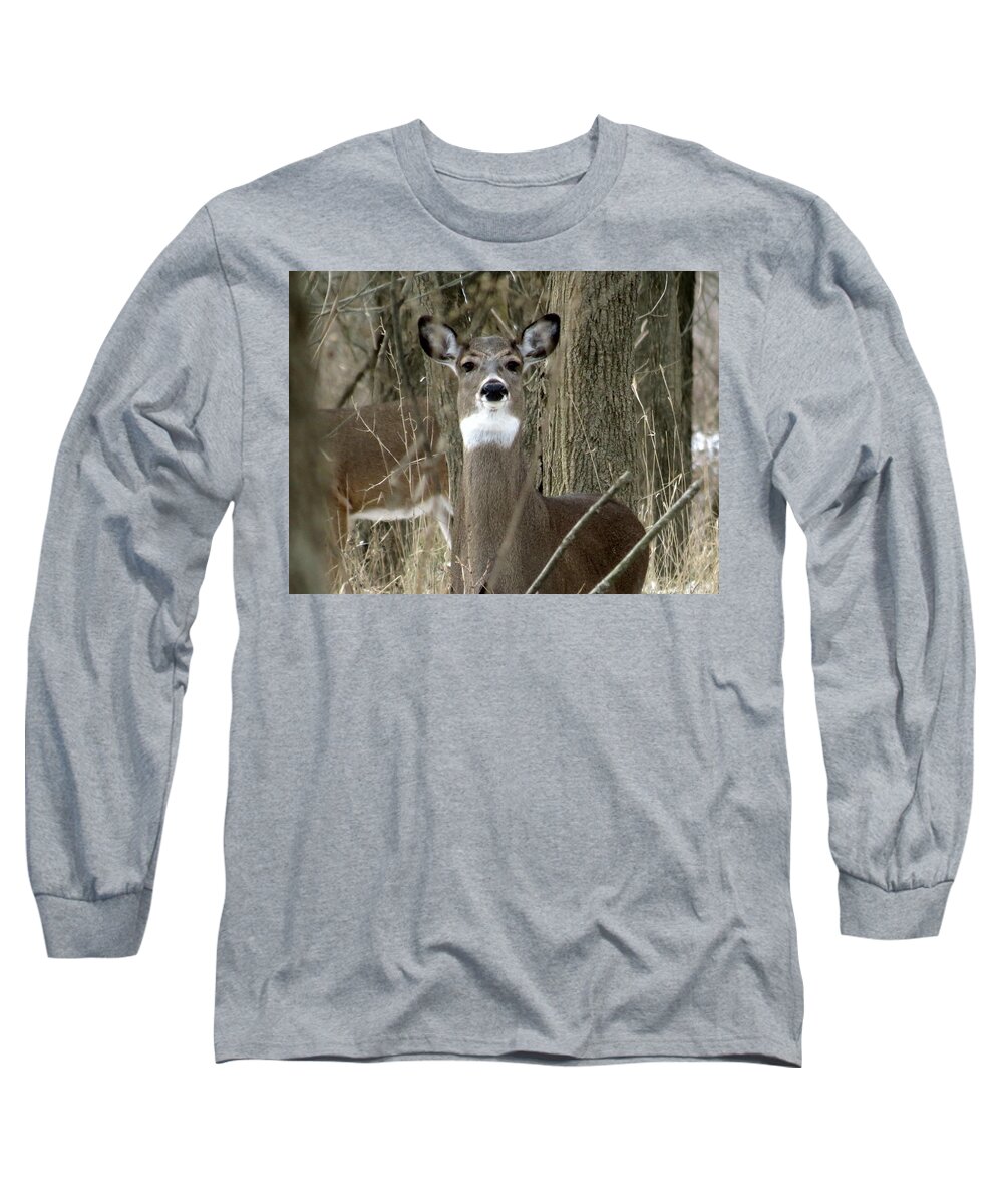 Deer Long Sleeve T-Shirt featuring the photograph Deer in the Forest by Eric Switzer
