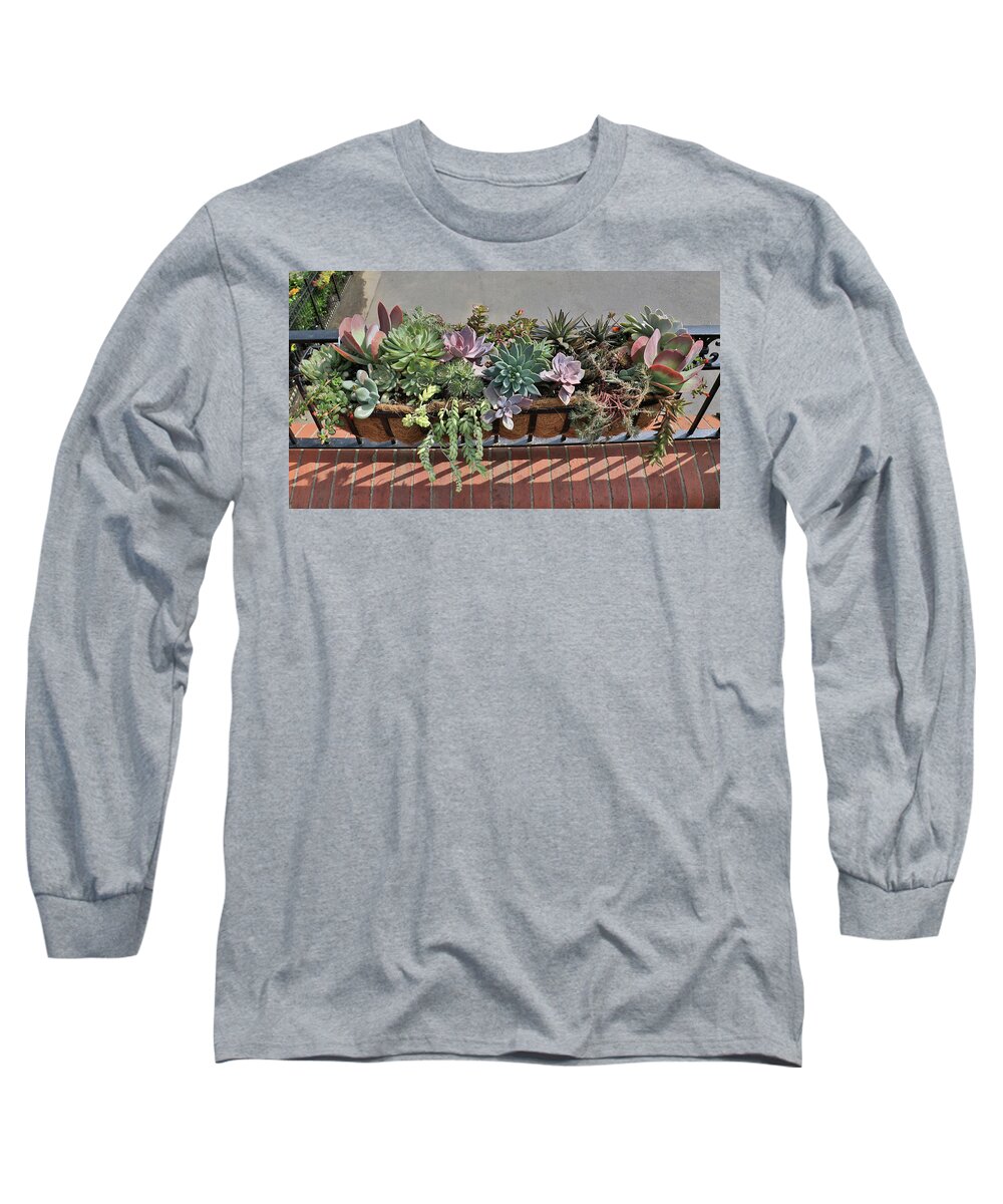 Desert Long Sleeve T-Shirt featuring the photograph Desert Arrangement by J Laughlin