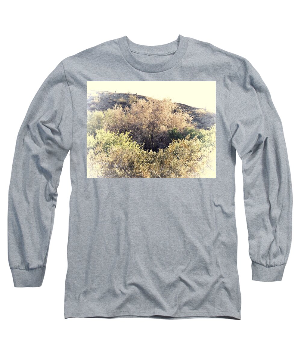 Afternoon Light Long Sleeve T-Shirt featuring the photograph Desert Ironwood Afternoon by Judy Kennedy