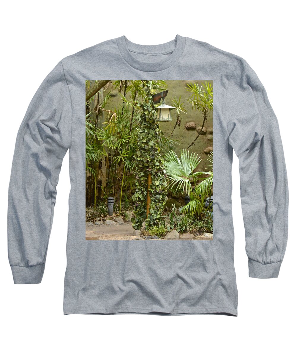 Vine Long Sleeve T-Shirt featuring the photograph Devine The Human Grapevine by Carol Bradley