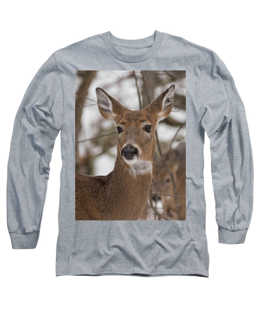 Deer Long Sleeve T-Shirt featuring the photograph Doe a Deer by Jody Partin