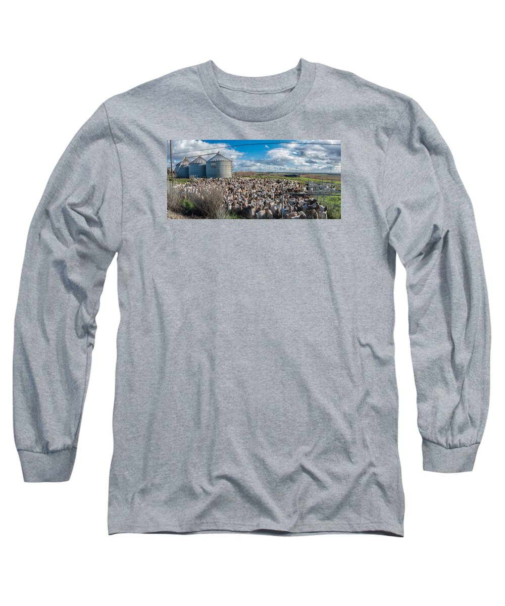 Delta Long Sleeve T-Shirt featuring the photograph Dogs in Hiding. by Robin Mayoff