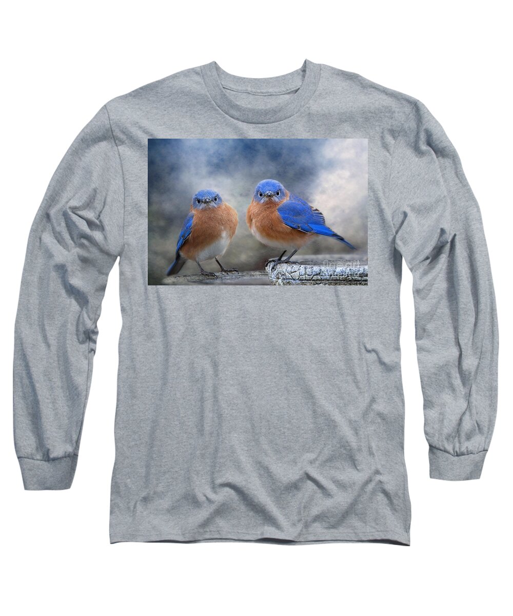 Bluebirds Long Sleeve T-Shirt featuring the photograph Don't Ruffle My Feathers by Bonnie Barry