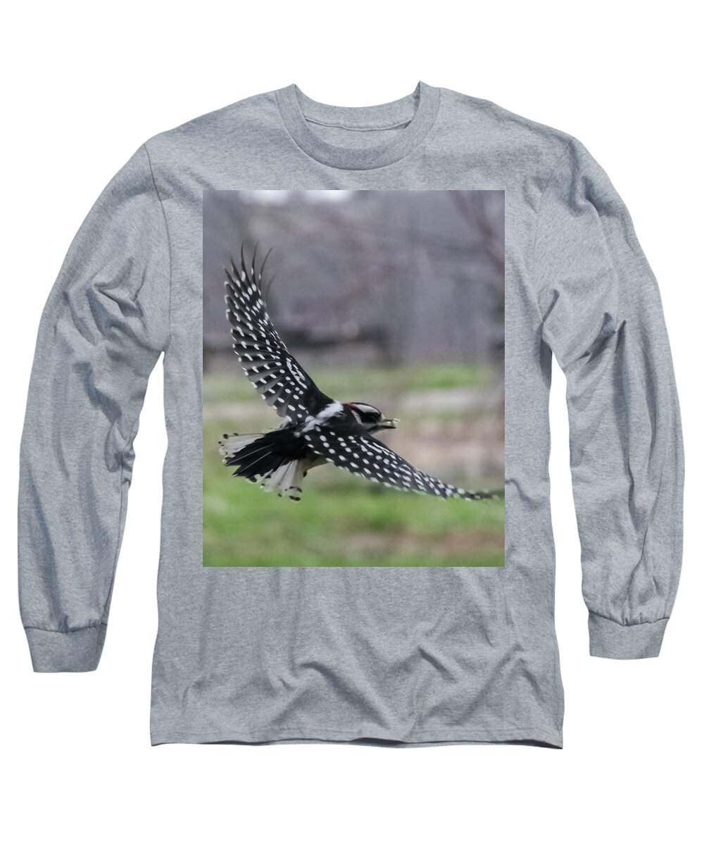 Jan Long Sleeve T-Shirt featuring the photograph Downy Woodpecker in Flight by Holden The Moment