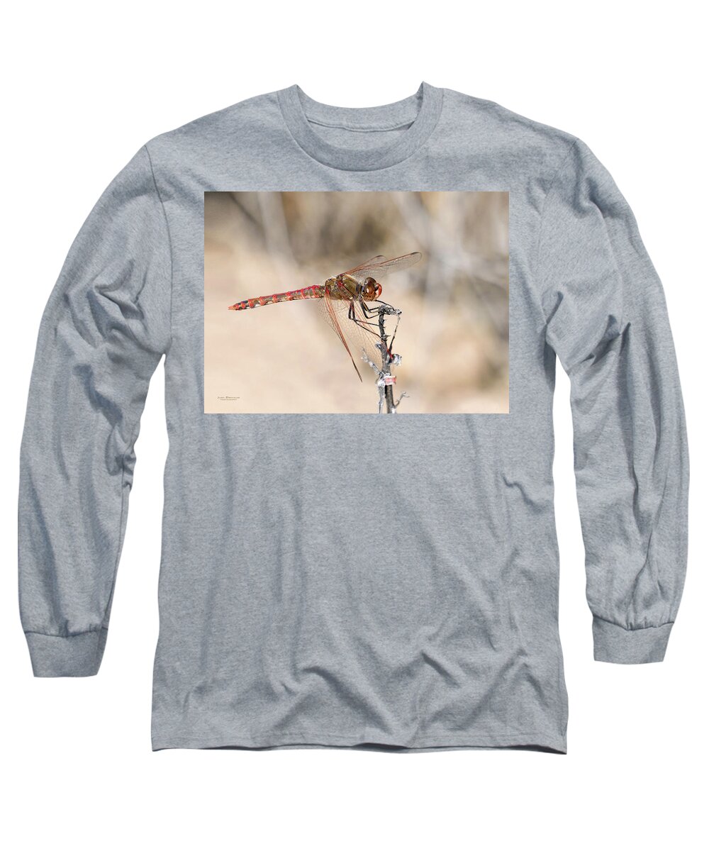 Dragonfly Long Sleeve T-Shirt featuring the photograph Dragonfly Resting by Judi Dressler