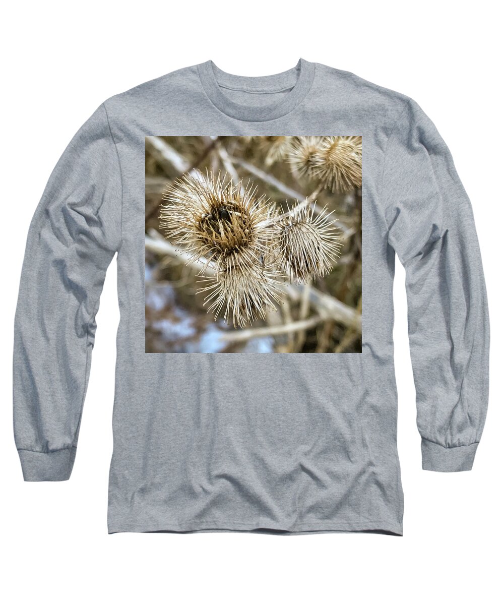 Botanical Long Sleeve T-Shirt featuring the photograph Dry thistle buds by SAURAVphoto Online Store