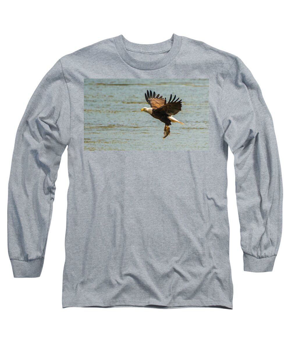 11 November 2016 Long Sleeve T-Shirt featuring the photograph Eagle Departing with Prize Close-Up by Jeff at JSJ Photography