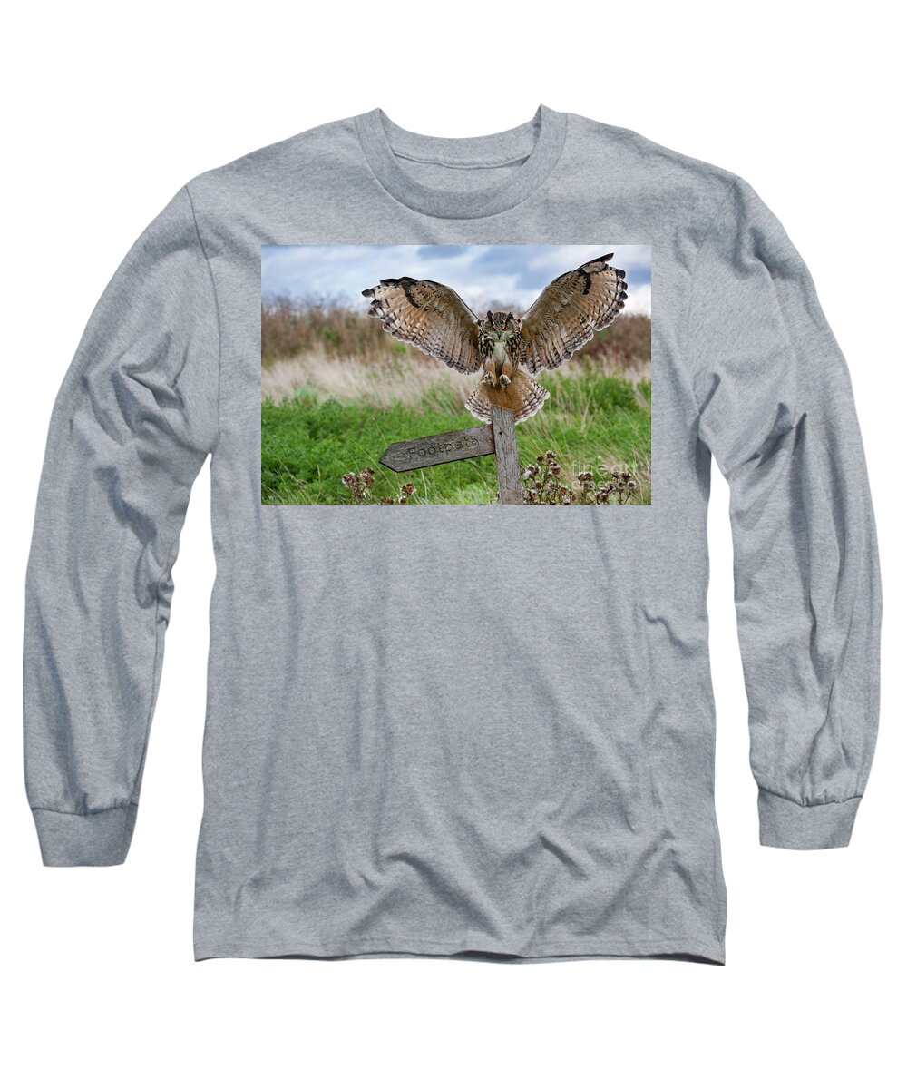 Eurasian Eagle-owl Long Sleeve T-Shirt featuring the photograph Eagle Owl on Signpost by Arterra Picture Library