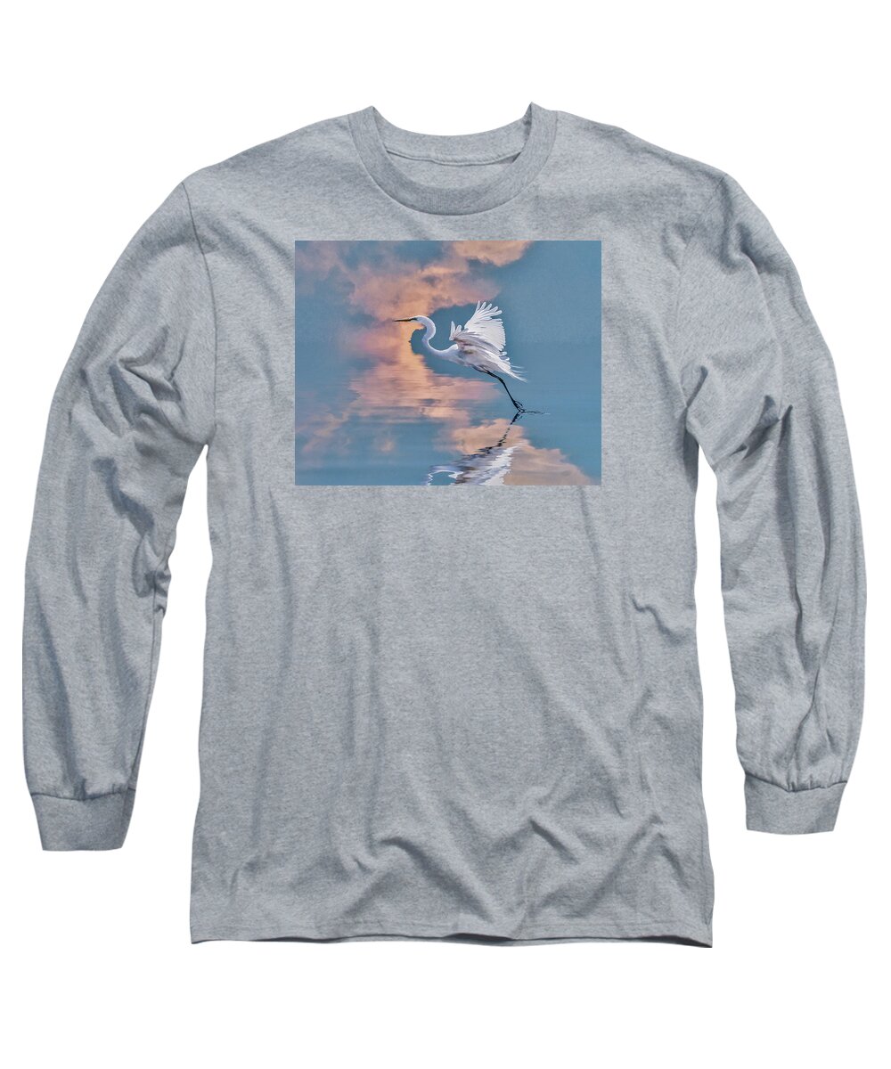 Great Egret Long Sleeve T-Shirt featuring the photograph Elegance by Brian Tarr