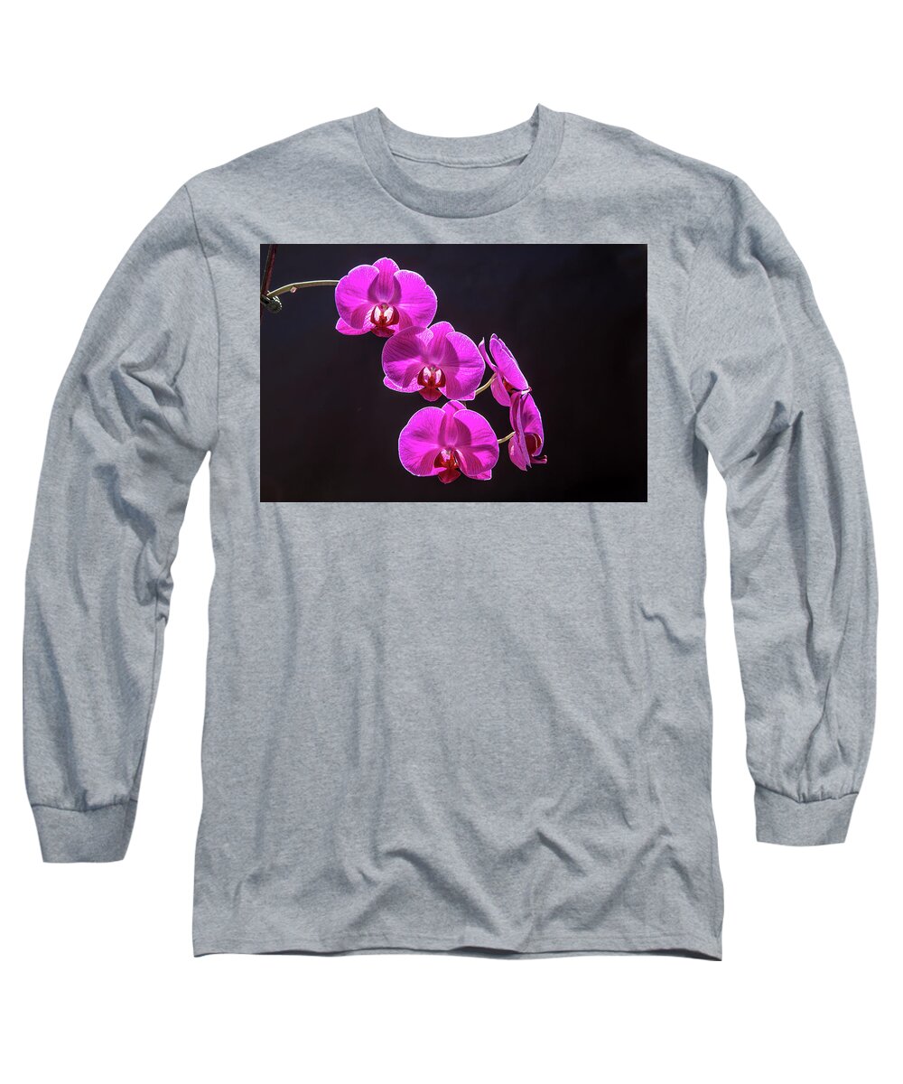 Orchid Long Sleeve T-Shirt featuring the photograph Elegance by Duncan Selby