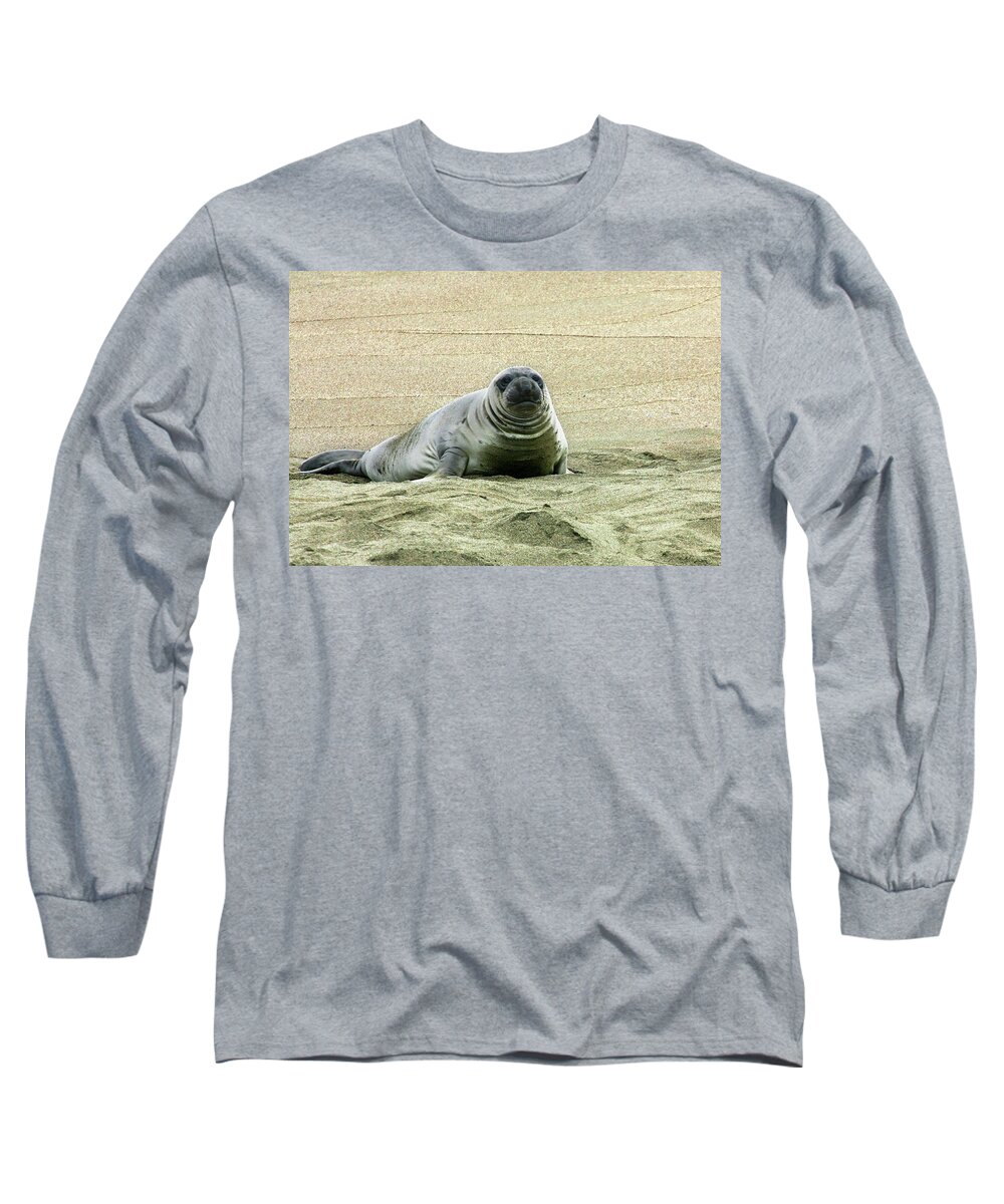 Elephant Seal Long Sleeve T-Shirt featuring the photograph Elephant Seal Pup by Anthony Jones