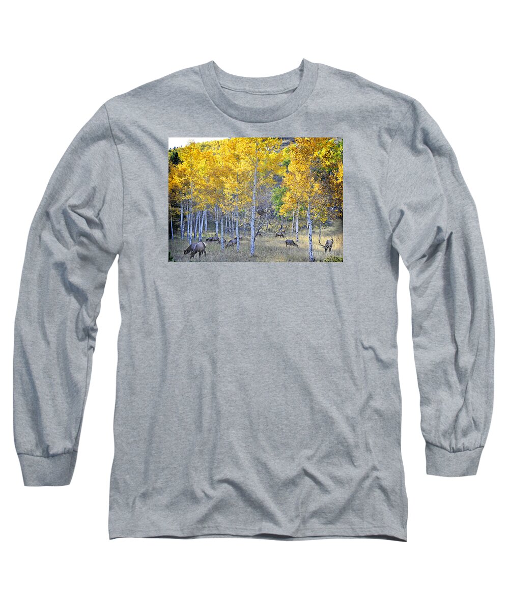 Nature Long Sleeve T-Shirt featuring the photograph Elk in RMNP Colorado by Nava Thompson