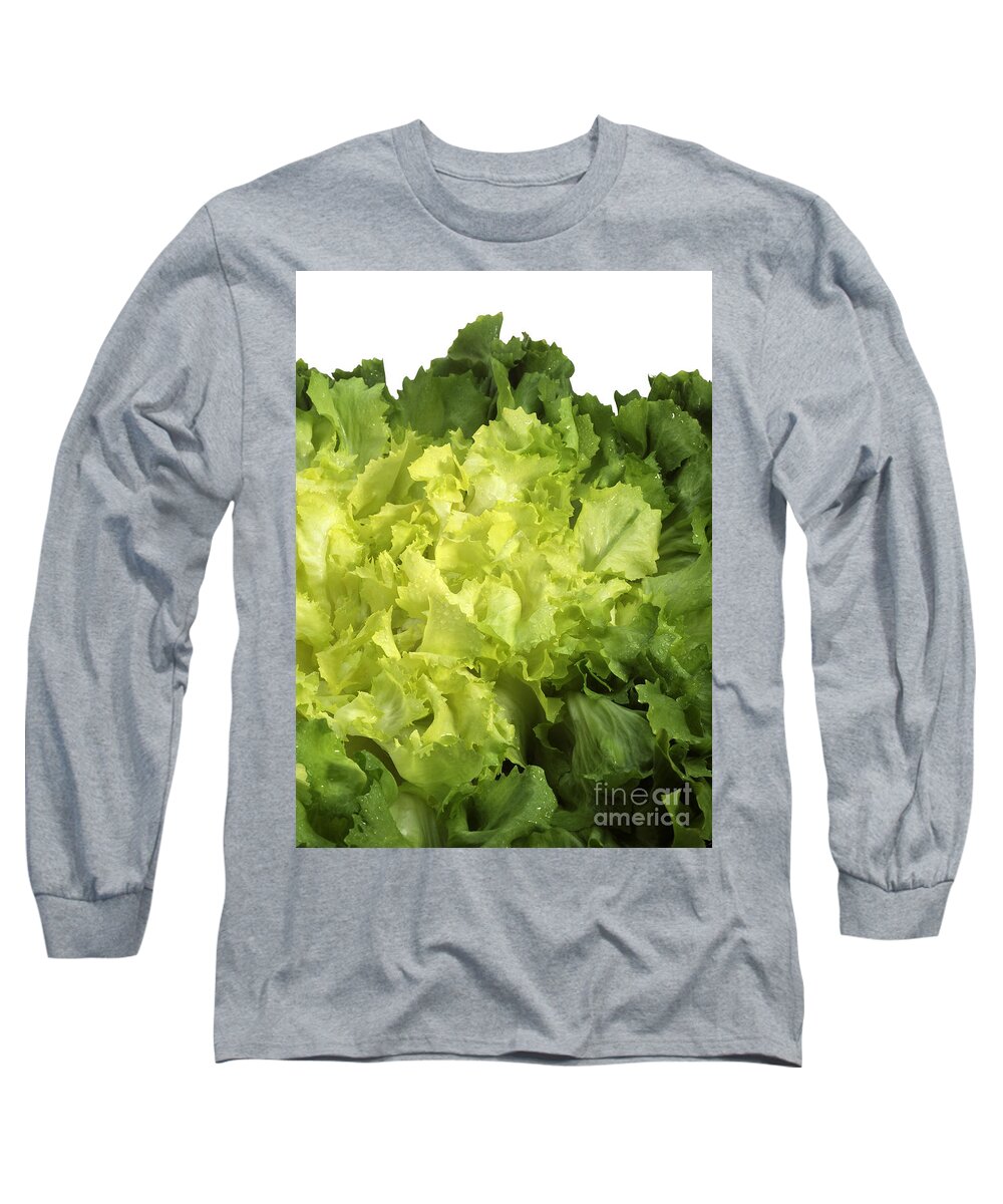 Botany Long Sleeve T-Shirt featuring the photograph Escarole Leaves Cichorium Endivia by Gerard Lacz