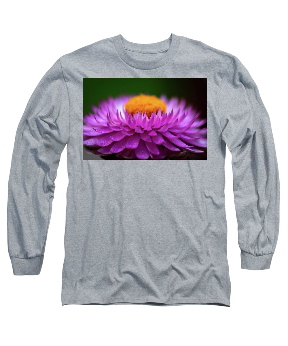 Flower Long Sleeve T-Shirt featuring the photograph Everlasting by Carrie Hannigan