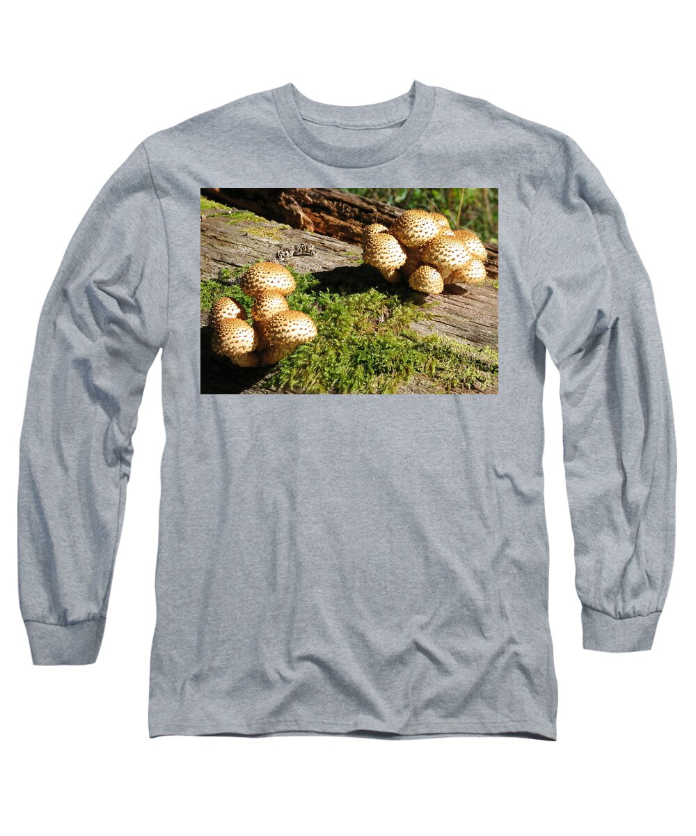 Fungi Long Sleeve T-Shirt featuring the photograph Fabulus Fungi by David Bader
