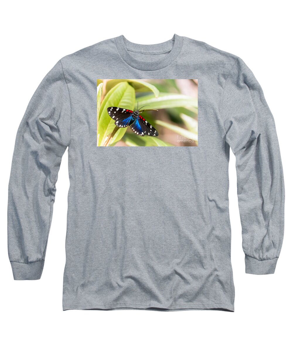 Arctiidae Long Sleeve T-Shirt featuring the photograph Faithful Beauty by Amanda Mohler