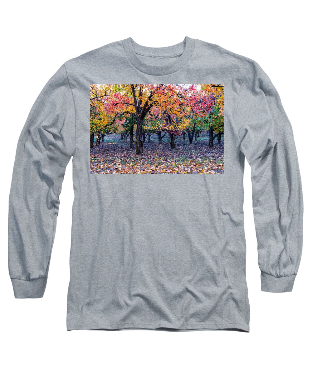 Landscape Long Sleeve T-Shirt featuring the photograph Fall color in Orchard by Hisao Mogi