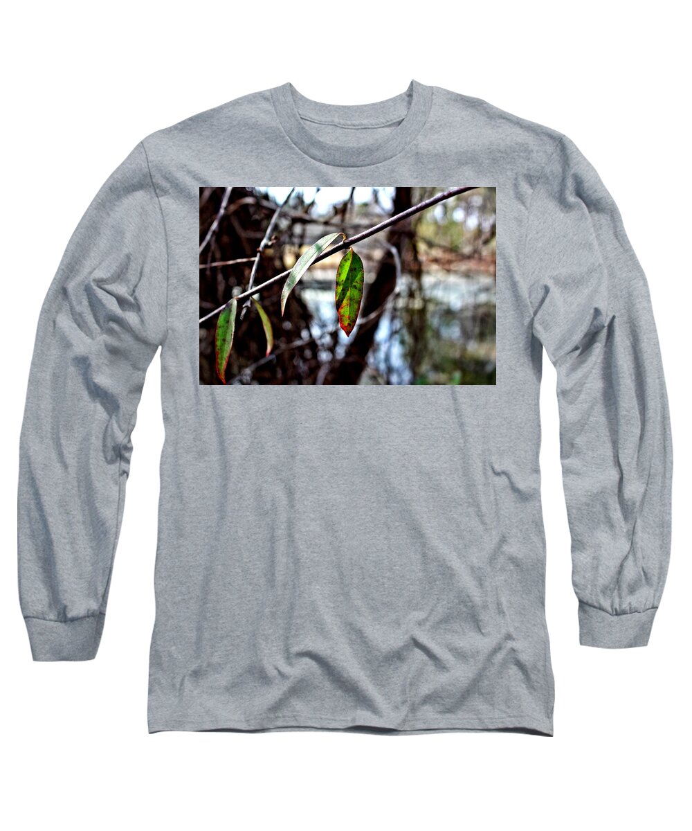  Long Sleeve T-Shirt featuring the photograph Fall Leaf by Elizabeth Harllee