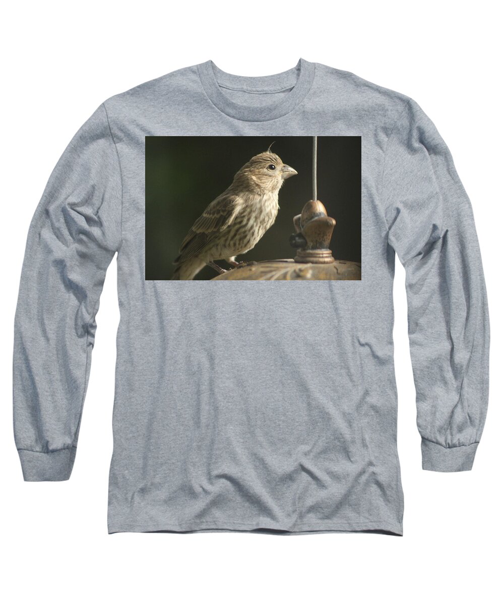 Female House Finch Long Sleeve T-Shirt featuring the photograph Female House Finch on Feeder by Colleen Cornelius