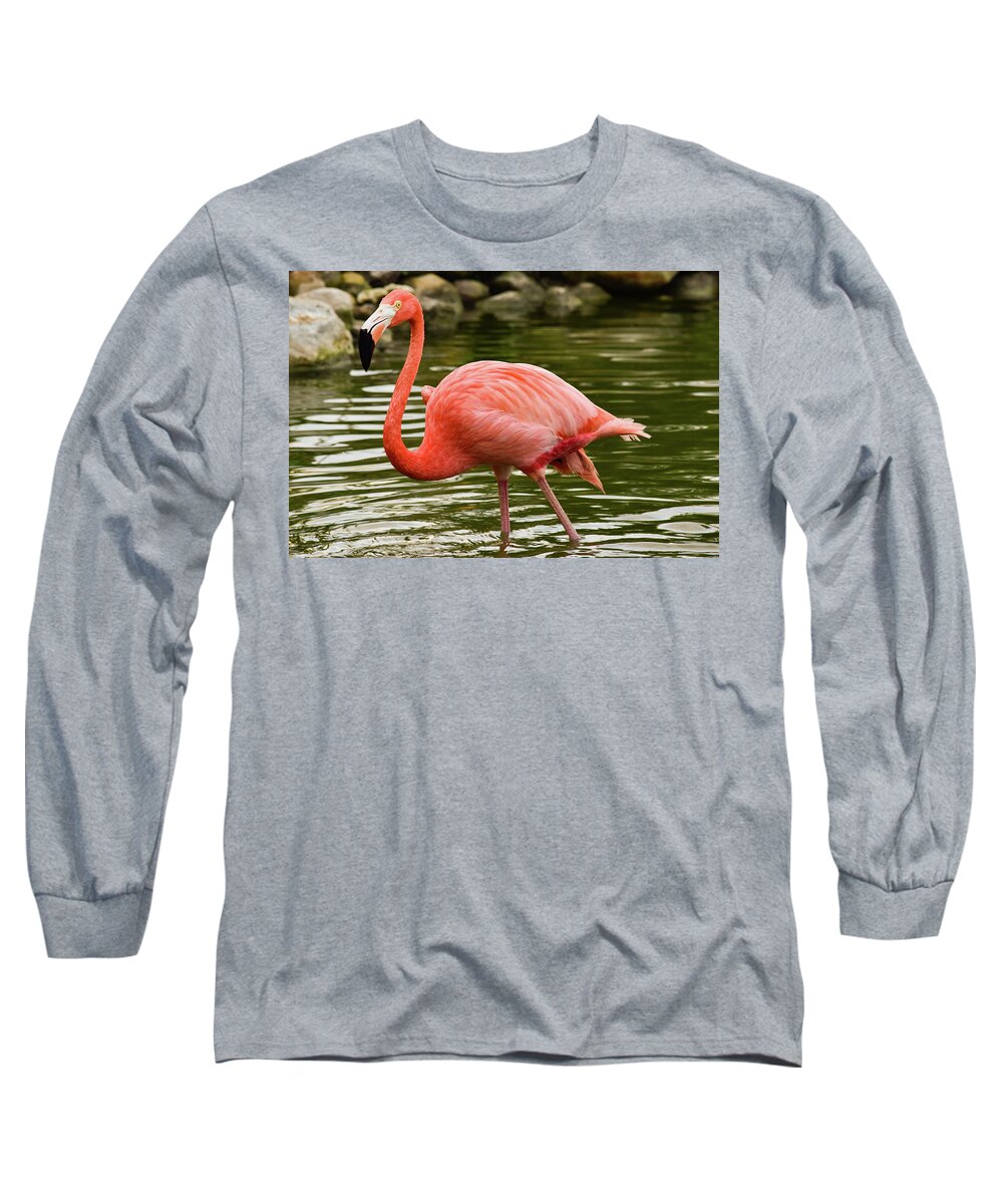 Flamingo Long Sleeve T-Shirt featuring the photograph Flamingo Wades by Nicole Lloyd