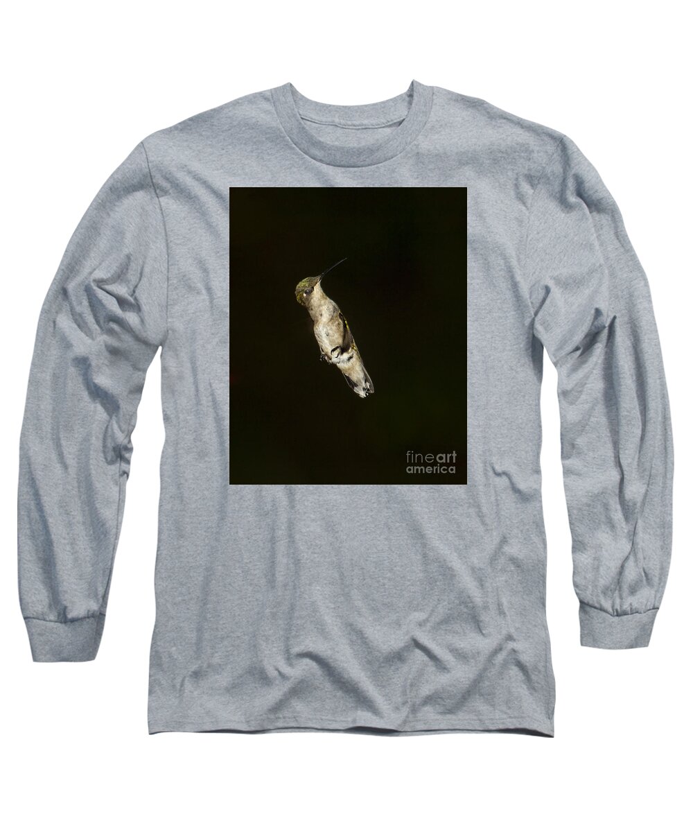 Hummingbird Long Sleeve T-Shirt featuring the photograph Flaps Down by Barbara Bowen