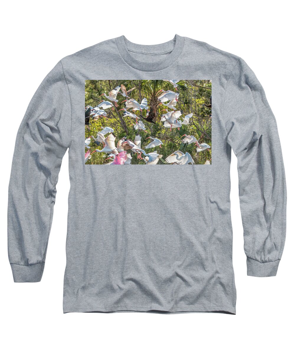 Egrets Long Sleeve T-Shirt featuring the photograph Flock of Mixed Birds Taking Off by Dorothy Cunningham