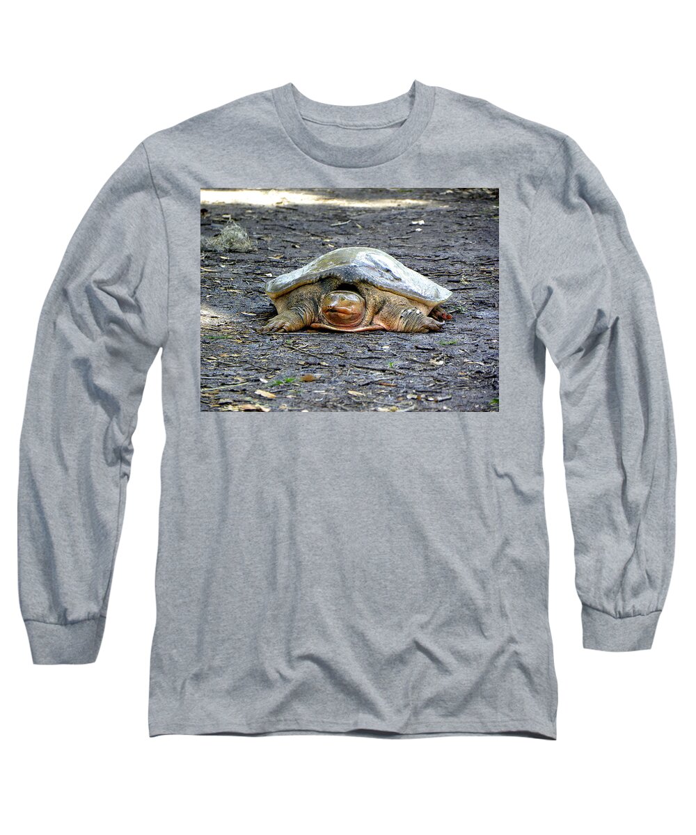Turtle Long Sleeve T-Shirt featuring the photograph Florida Softshell Turtle 002 by Christopher Mercer