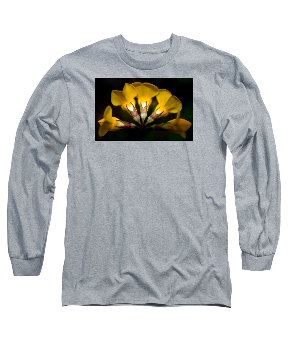Adria Trail Long Sleeve T-Shirt featuring the photograph Flower Candelabra by Adria Trail