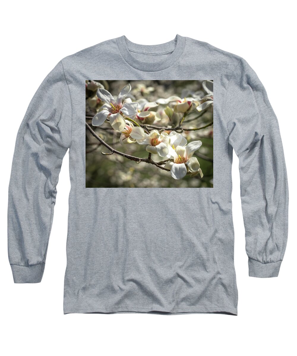 Cathy Donohoue Photography Long Sleeve T-Shirt featuring the photograph Flowering Magnolia by Cathy Donohoue